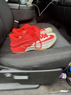 Kd 7 Egg Nog