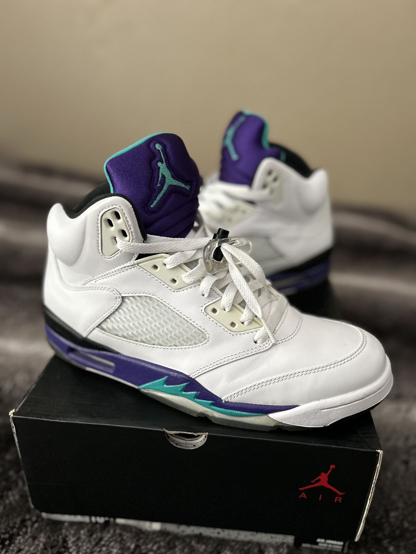 Nike Retro Air Jordan 5 (grapes) VNDS Men