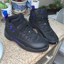 Air Jordan 12 retro 