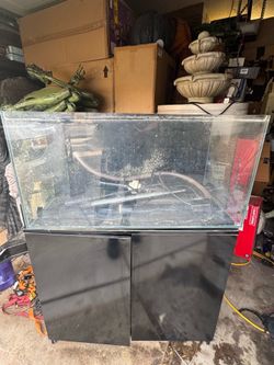 50gal saltwater fish tank