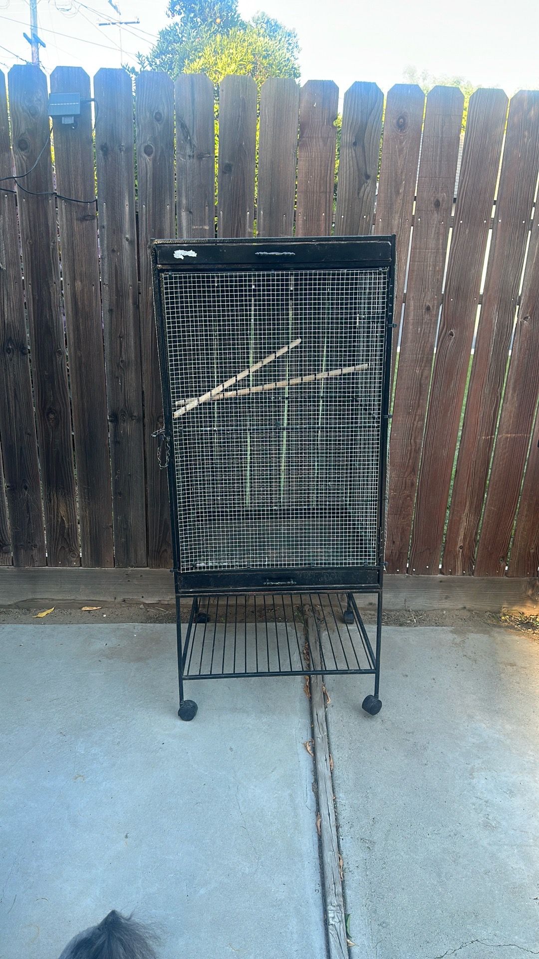 Big bird cage (Jaula)