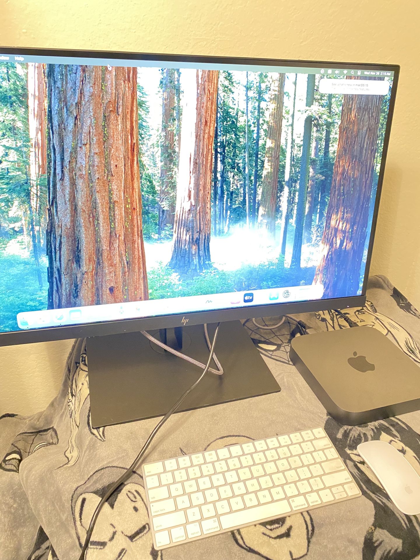 2018 Mac Mini with 4k Monitor