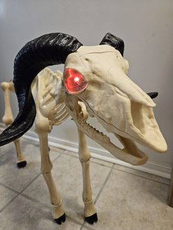 Halloween Ram Skeleton Decoration