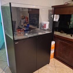Fish Tank  Saltwater 