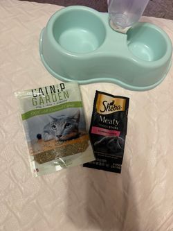 Cat items