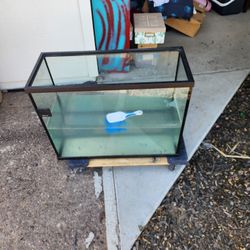 40 Gallon Fish Tank