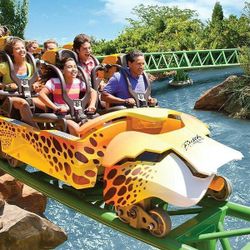 Busch Gardens Tickets 