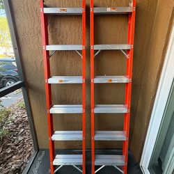 6ft Ladder