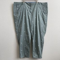 TALBOTS Green Daisy Embroidered The Weekend Girlfriend Chico Plus Size Pant