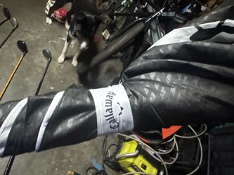 Calloway umbrella