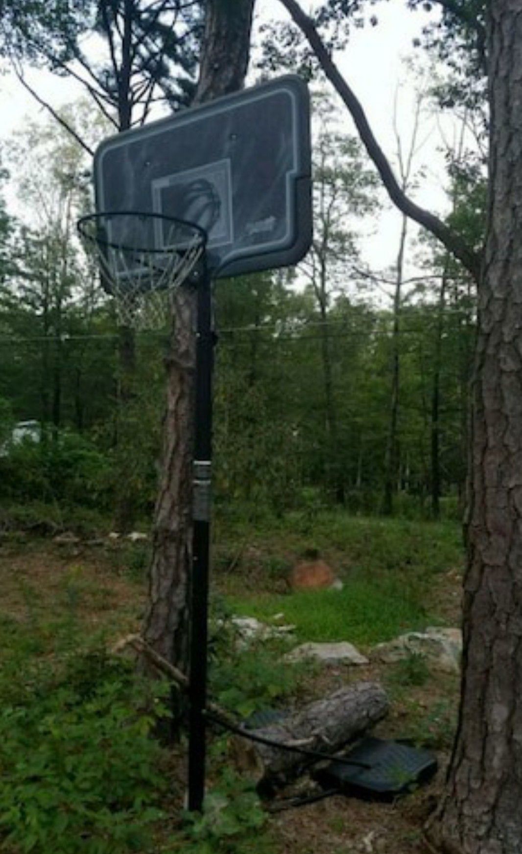 Basketball Hoop