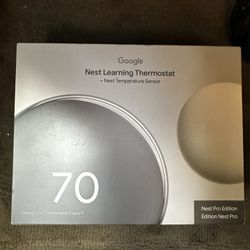 Google nest pro (4th gen)