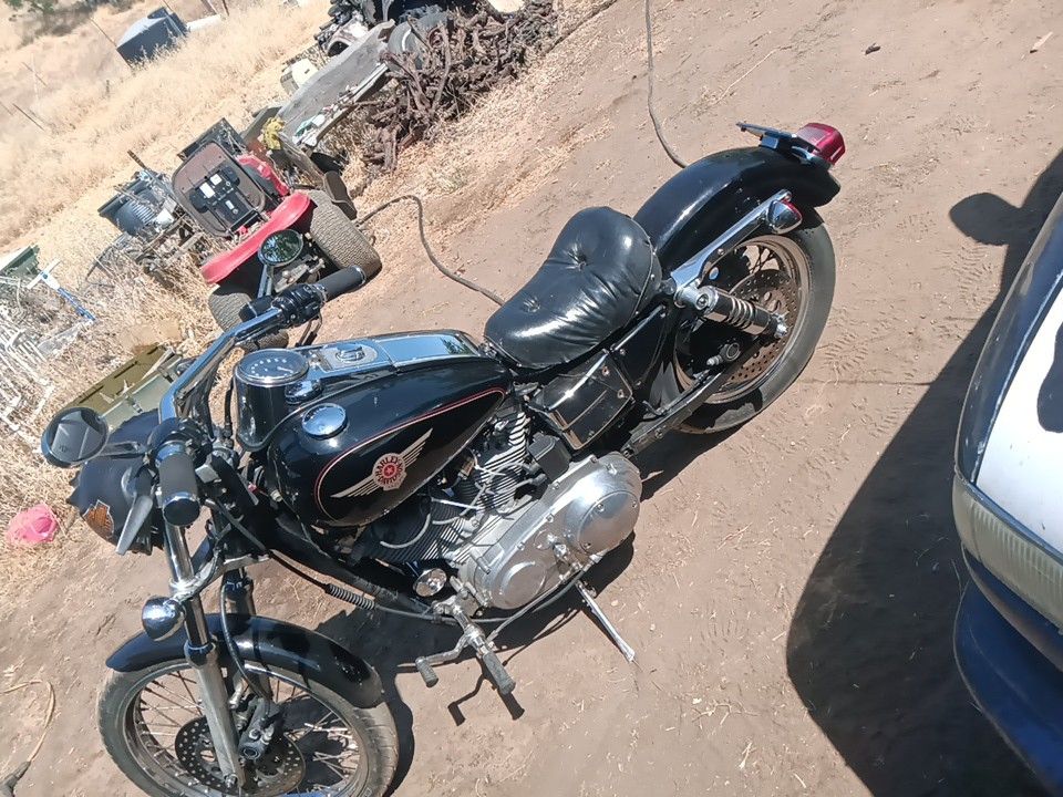 1999 Harley-Davidson 1200 Sportster fresh Sporty