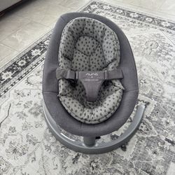 Baby Rocker Swing - Nuna