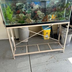 55 Gal Fish Tank And Stand Decor