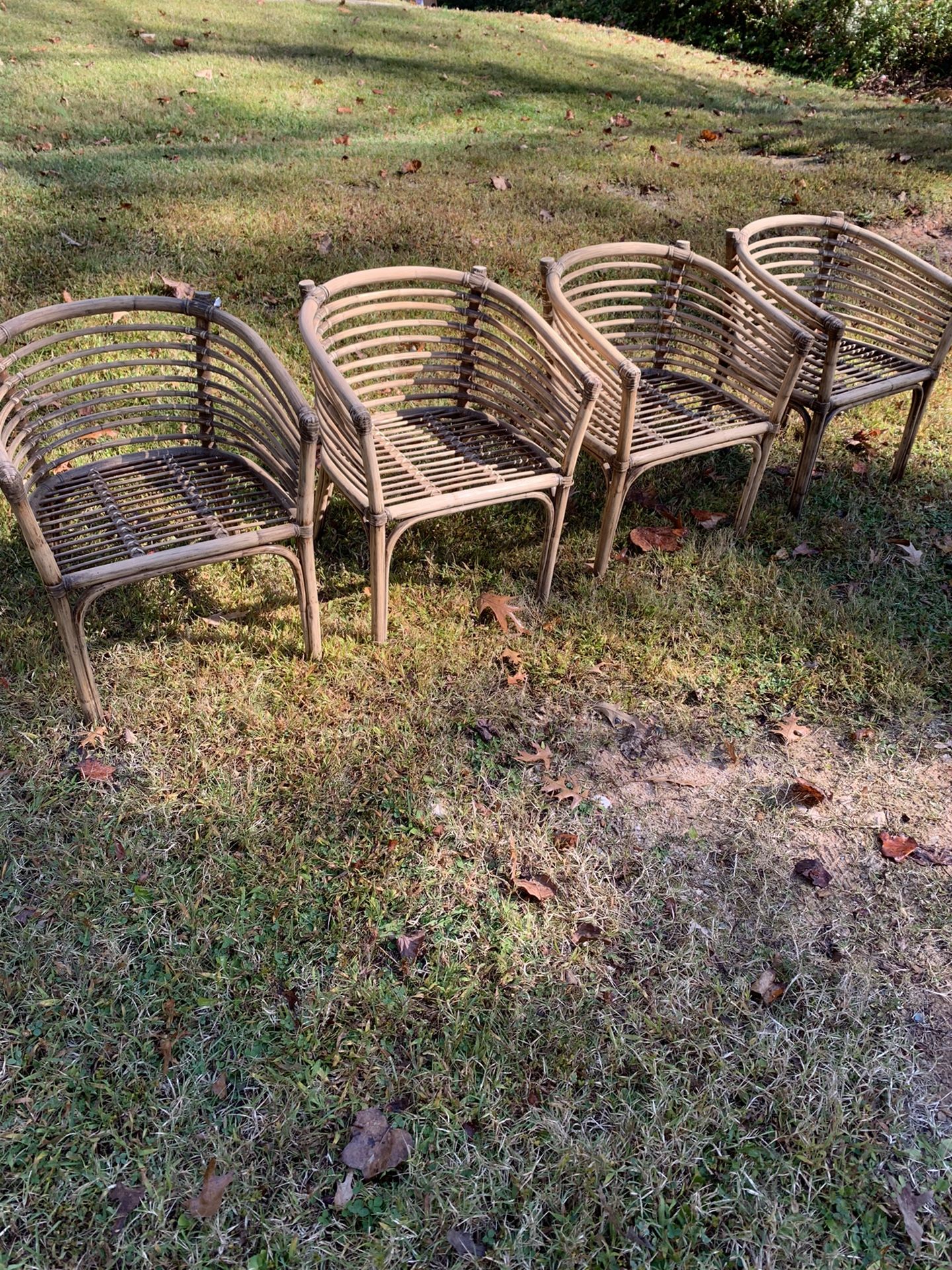 Mid Century Modern  Chairs 