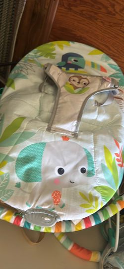 Fisher Baby Bouncer