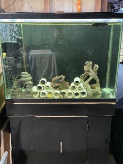 35 Gallon