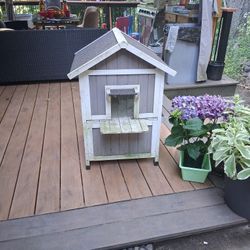Cat House 
