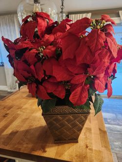 Christmas Fake Poinsettia
