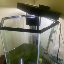 Aquarium With Lid And Filter