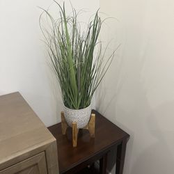 Modern Meadow Faux Grass Plant 