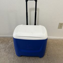 Cooler Igloo 