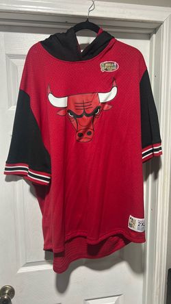 Bulls jersey