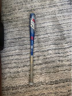 Cat 9 - 31 inch, -5