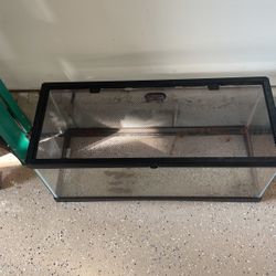 20 Gallon Tank With Screen Top 