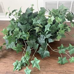 artificial plant in English Ivy bush used for decoration basket not included