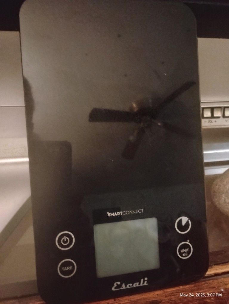 Kitchen Scale
