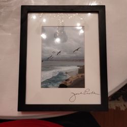 Framed Picture 