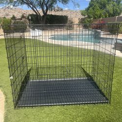 XXL Dog crate 