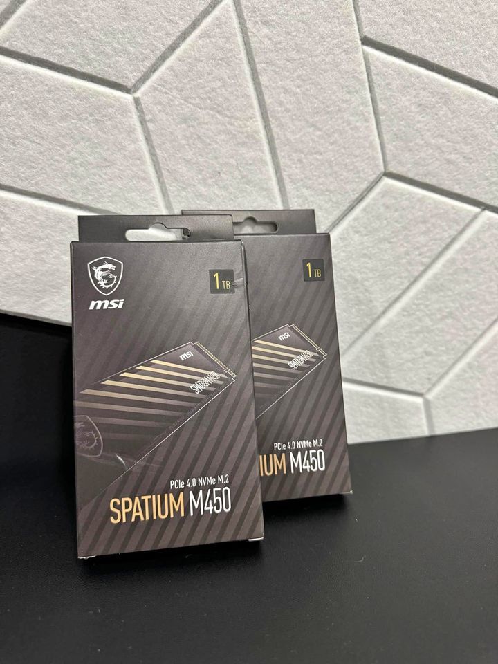MSI Spatium M450 1tb