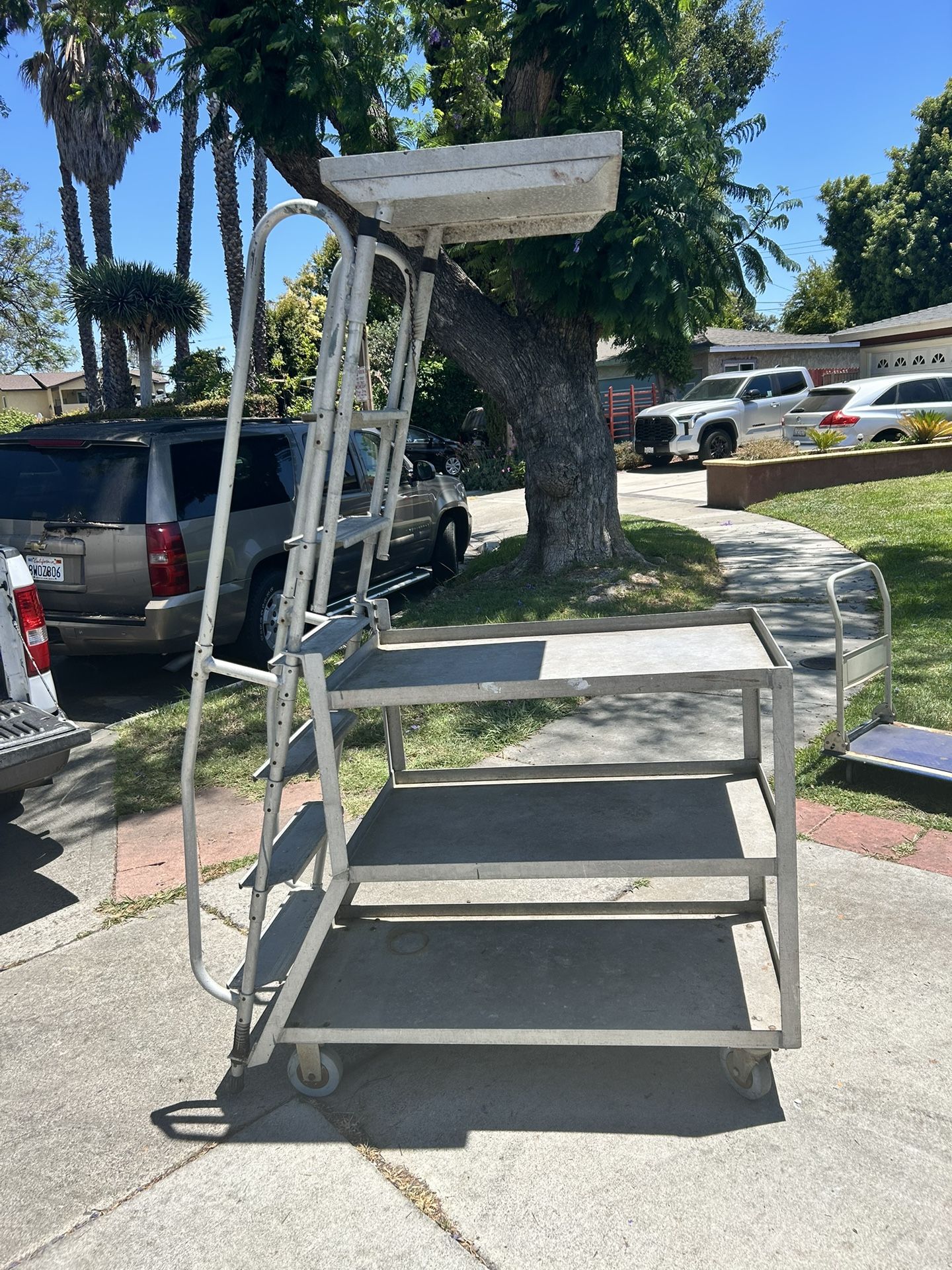 Cart Aluminum With Ladder Dim 50”x21”x38”ladder 75”