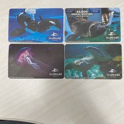 Sea World Tickets