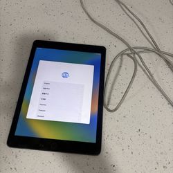 Apple iPad Reset + Charger