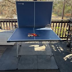 Table Tennis Table