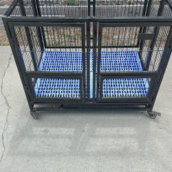 Dog House 