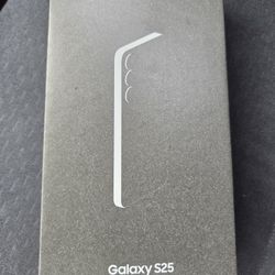 Samsung Galaxy S25 5G