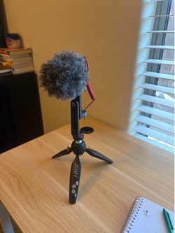 Stand and microphone