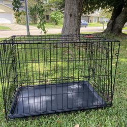 Bird Cage , Dog Cannel And Skates