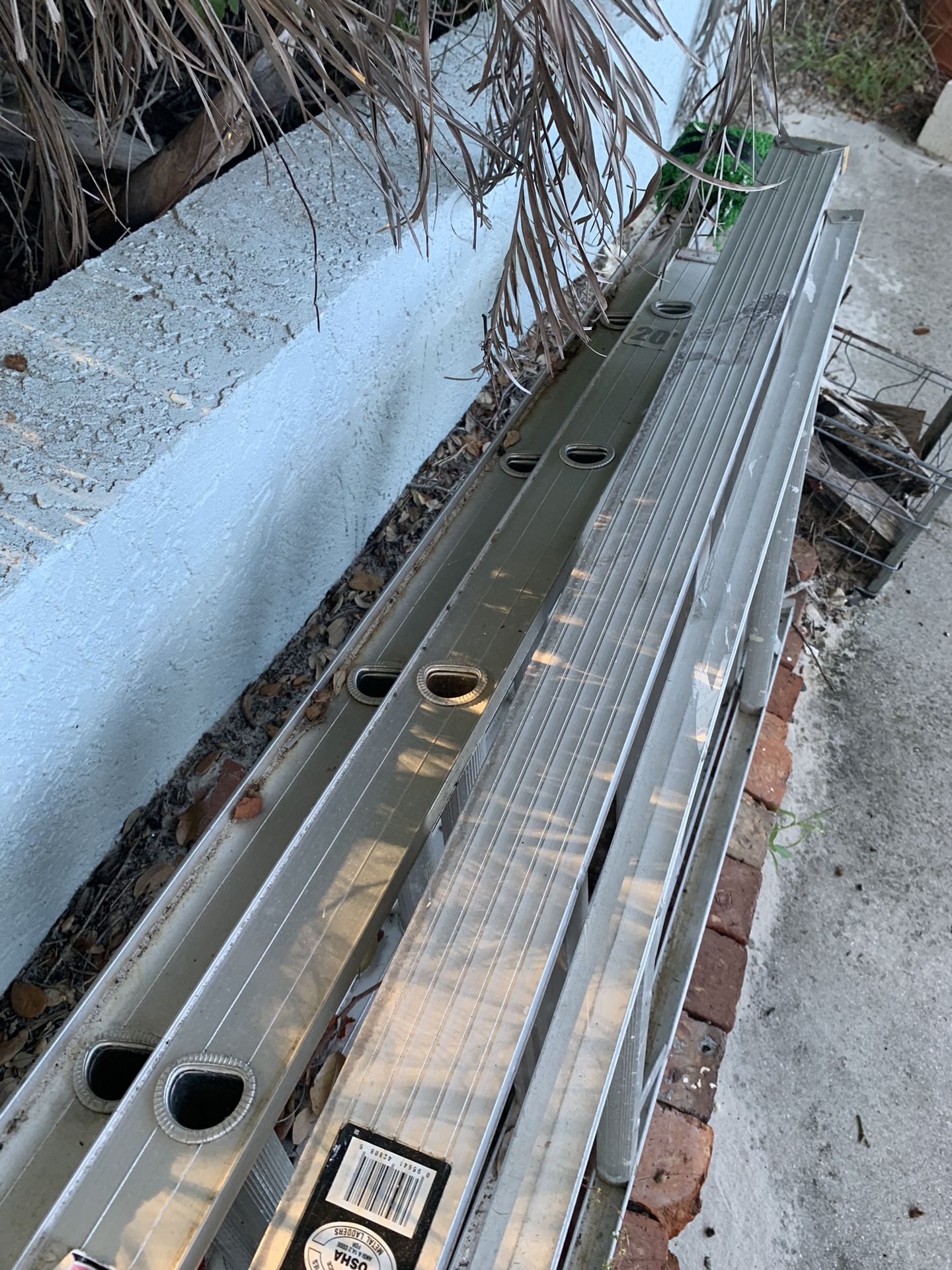 Louisville 20 Foot Ladder