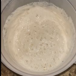 Sourdough Starter