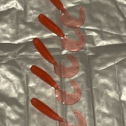 Orange Curly Tail Grub