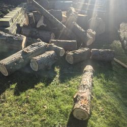 Fresh Cut Unseasoned Cedar Tree Rounds /  Fire Wood  Make Me An Offer For All 