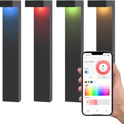 Landscape Pathway Light Fixture 