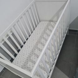 Crib & Toddler Bed With Mattress