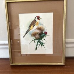Vintage Bird Art Print MCM Goldfinch Thistle Litho Framed Retro Neat Decor